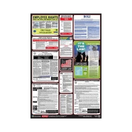 OSHA SAFETY POSTER COMBO STATE, PPG300OR